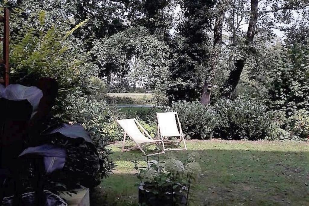 Schickes Wohnstudio Mit Garten Am Aasee Ibbenbüren Eksteriør bilde