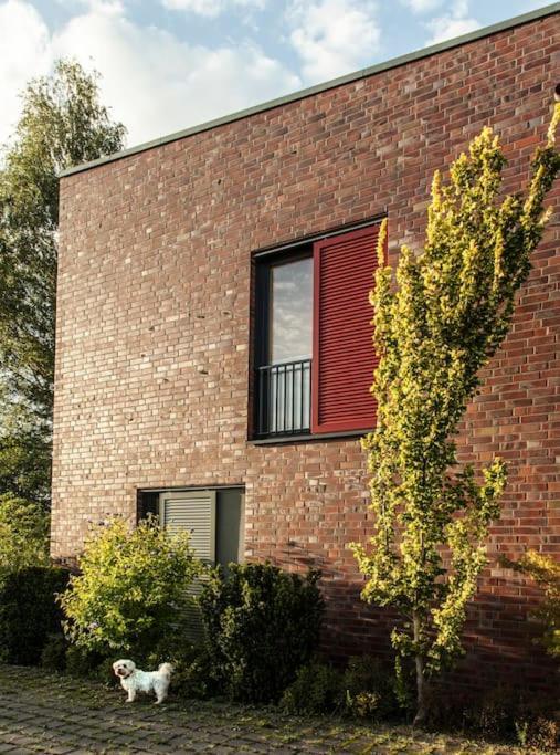 Schickes Wohnstudio Mit Garten Am Aasee Ibbenbüren Eksteriør bilde